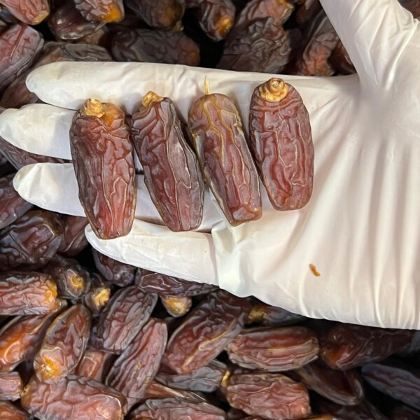 Mabroom Dates